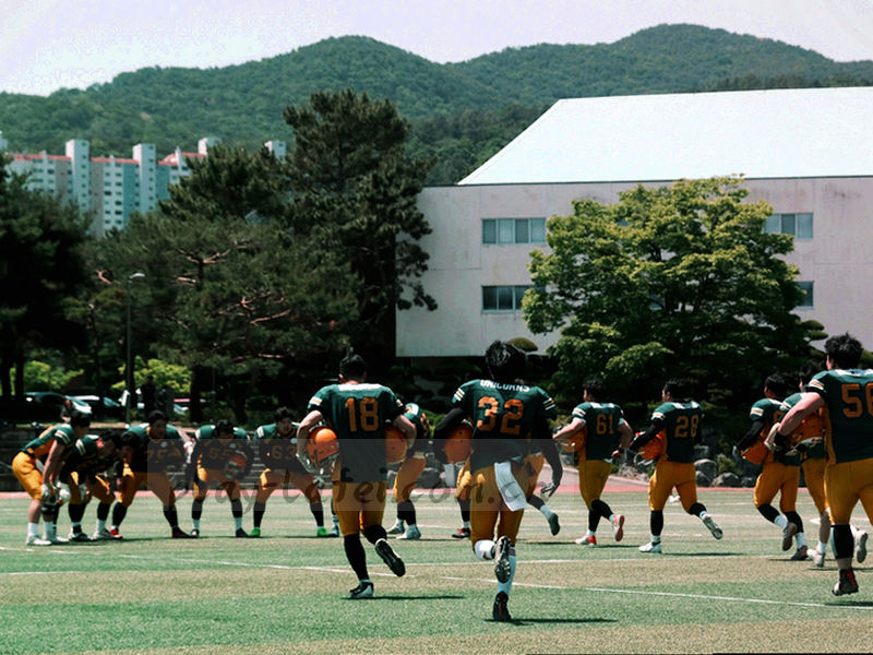 三日循环日历的抽象图形，表示帮助文档每三日更新一版